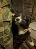 IMG_20170108_160044.jpg