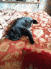 Burst_Cover_GIF_Action_20161227093302.gif