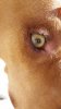 20170112_111734.jpg