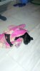 IMG_20160824_224641.jpg