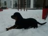 2017-01-21 09.55.47.jpg