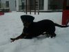 2017-01-21 09.55.54.jpg