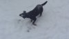 20170111_110151.jpg