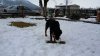 20170122_104441.jpg
