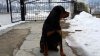 20170122_104736.jpg