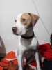 20170127_205811.jpg