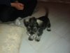 20160403_210559.jpg