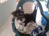 20160522_110309.jpg