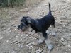 20160611_195017.jpg