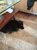 IMG_20170212_093748.jpg