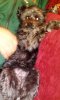 IMG_20170213_195035.jpg