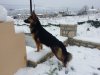 20170108_112920.jpg