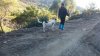 DSC_0911.JPG