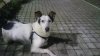 DSC_1013.JPG