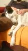 _20170214_234045.JPG