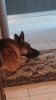 20170215_105717.jpg