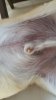 20170415_121603.jpg