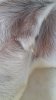 20170415_121607.jpg