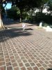 18090479_10211188504562678_2143104262_o.jpg