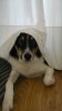 20161128_095851.jpg