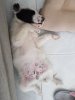 20170428_143421.jpg 20170428_143421.jpg
