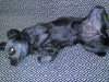 N333_20170506_210012.jpg