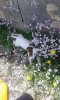20170430_112020.jpg