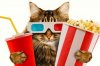 popcornmovies (1).jpg