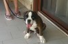 20160703_192726.jpg 20160703_192726.jpg