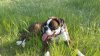 20170409_181740.jpg 20170409_181740.jpg