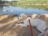 20170701_082709.jpg