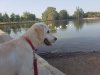 20170701_082314.jpg
