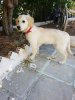 20170514_131228.jpg