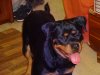 DSC00238.JPG