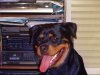 DSC00239.JPG
