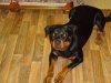 DSC00244.JPG