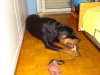 DSC00246.JPG