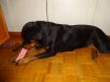 DSC00247.JPG