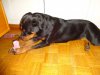 DSC00248.JPG
