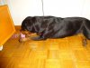 DSC00249.JPG