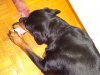 DSC00250.JPG
