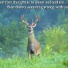 332abe149a60957d51e764fc706f3c5e--whitetail-bucks-buck-deer.jpg