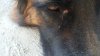 20170818_180728.jpg