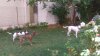 IMG_20170815_115528.jpg