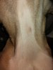 IMG_20170903_121051.jpg