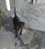 _20170910_170702.JPG
