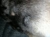IMG_20170927_014249.jpg