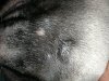 IMG_20170927_014221.jpg