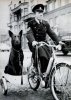 02a91e470acf4dd369418af60d8d3d2c--war-dogs-working-dogs.jpg 02a91e470acf4dd369418af60d8d3d2c--war-dogs-working-dogs.jpg
