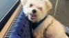IMG-20160208-WA0000.jpg IMG-20160208-WA0000.jpg